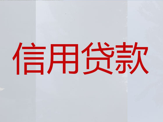 新乡本地贷款公司